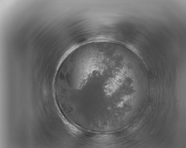 X0000059241474200510211549