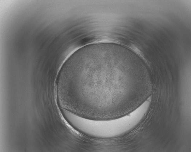 X0000059241476200510211549