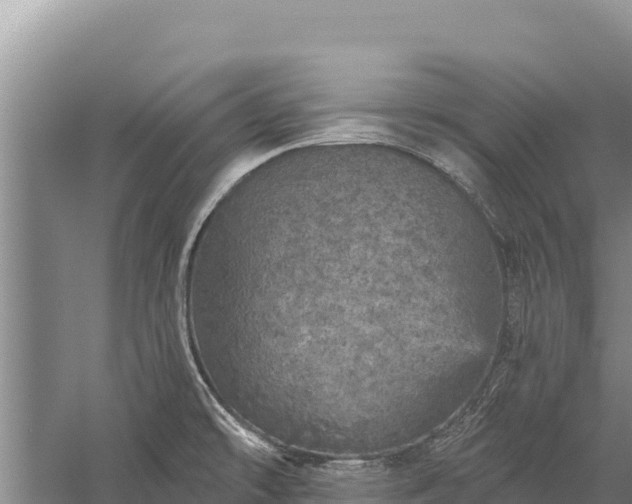 X0000059241478200510211549