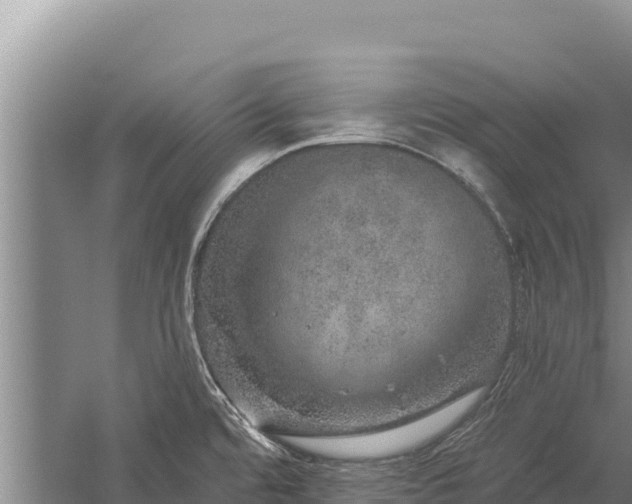 X0000059241480200510211549