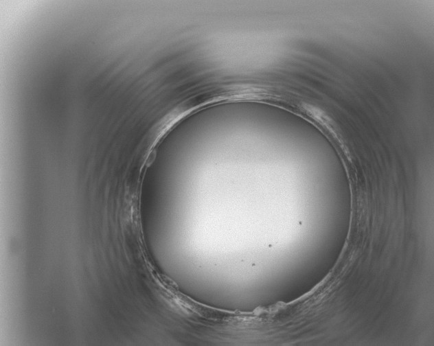 X0000059241481200510211549