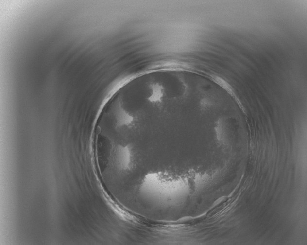 X0000059241482200510211549