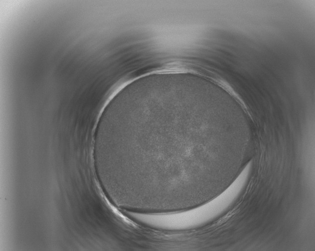 X0000059241484200510211549