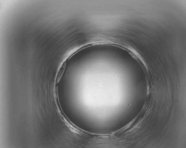 X0000059241485200510211549