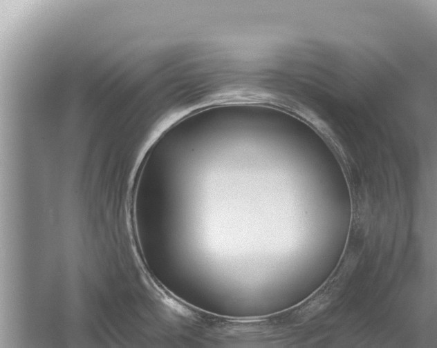 X0000059241486200510211549