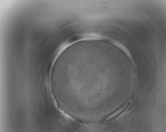 X0000059241488200510211549