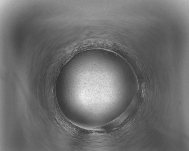 X0000059241489200510211548