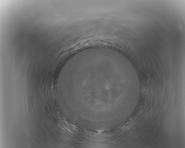 X0000059241490200510211548