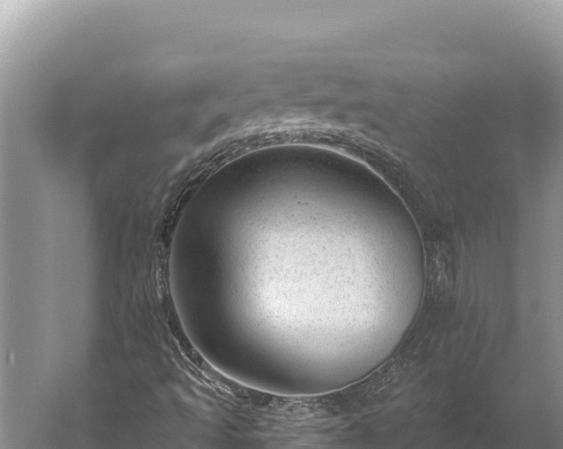 X0000059241493200510211548