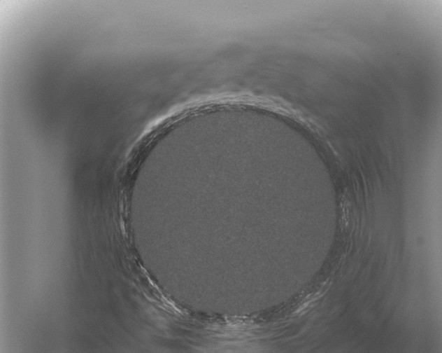 X0000059241494200510211548