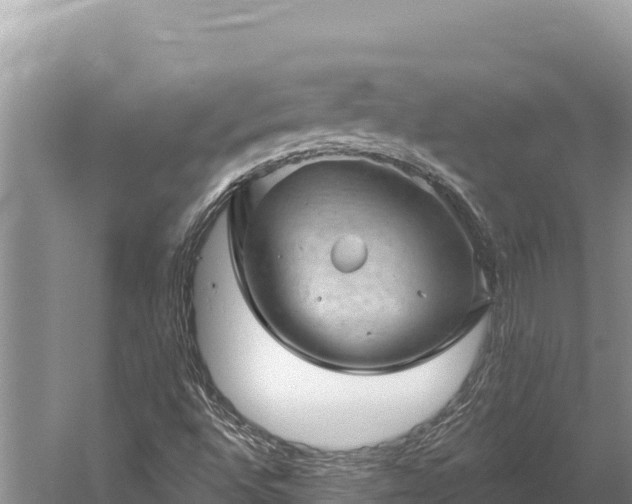 X0000059241496200510211548