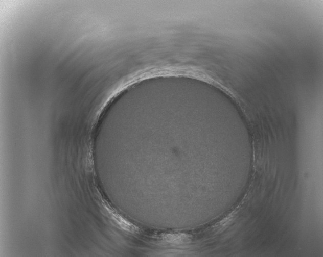 X0000059241498200510211548