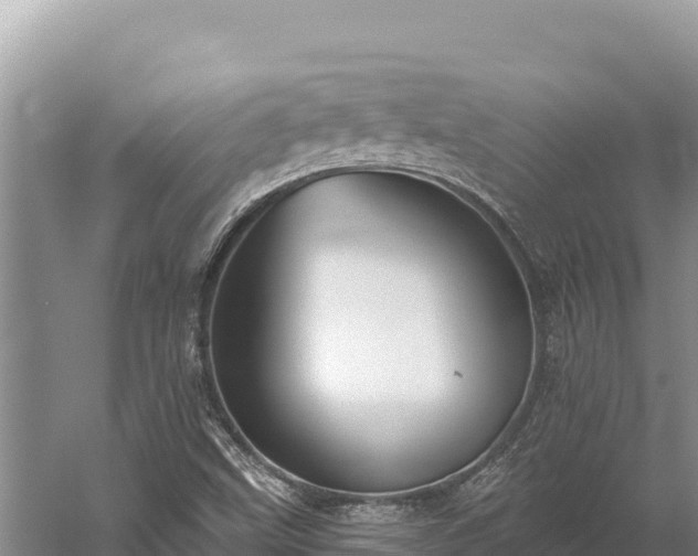 X0000059241499200510211548