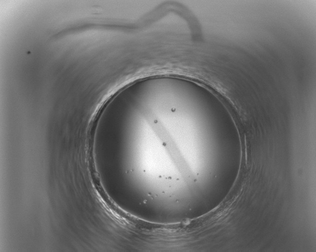 X0000059241500200510211548