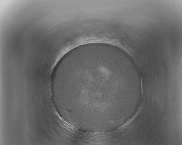 X0000059241501200510211548