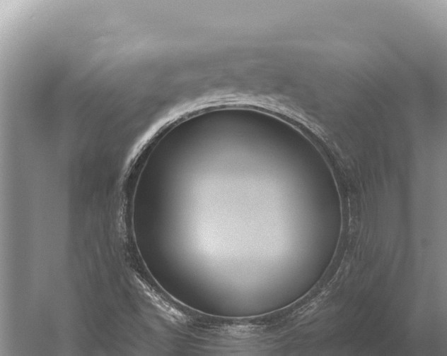 X0000059241502200510211548