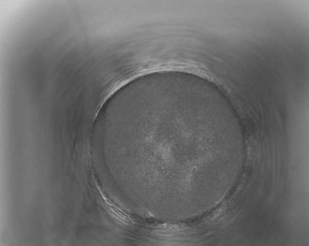 X0000059241505200510211548