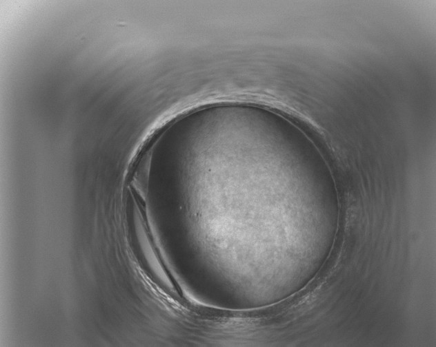 X0000059241506200510211548