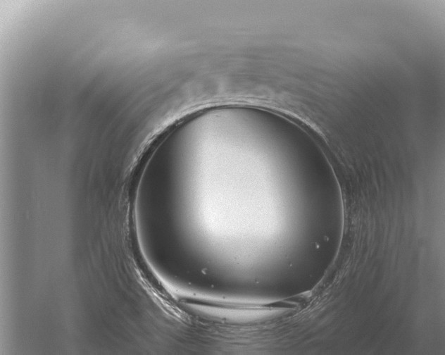 X0000059241507200510211548