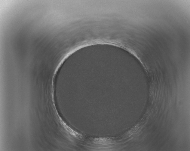 X0000059241508200510211548