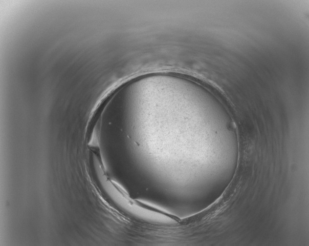 X0000059241509200510211548