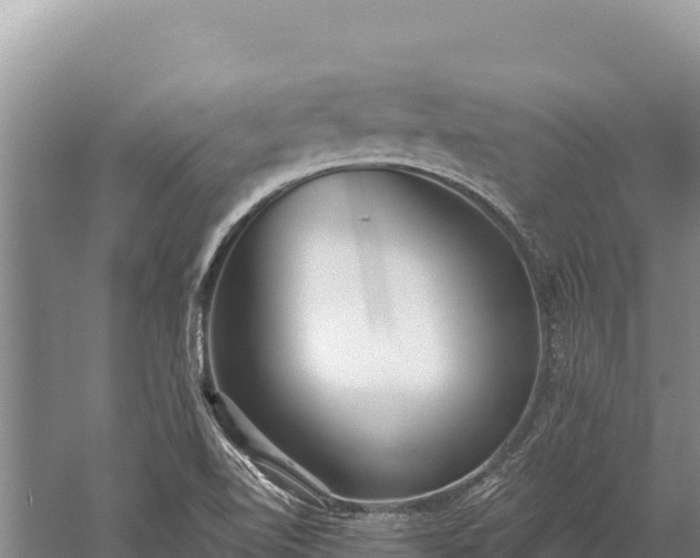 X0000059241510200510211548