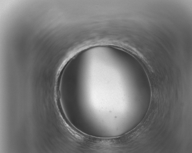 X0000059241512200510211549