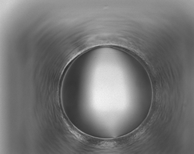 X0000059241513200510211549