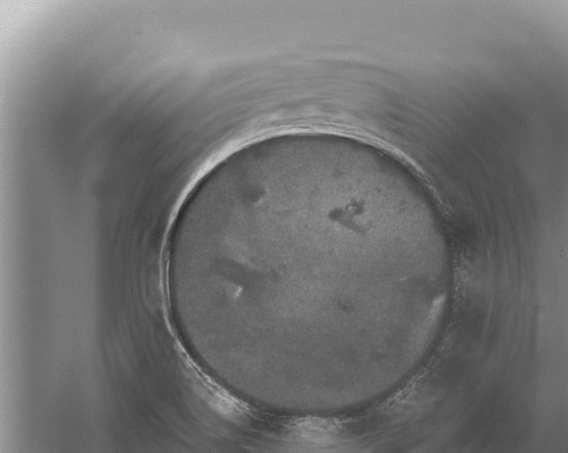 X0000059241514200510211549