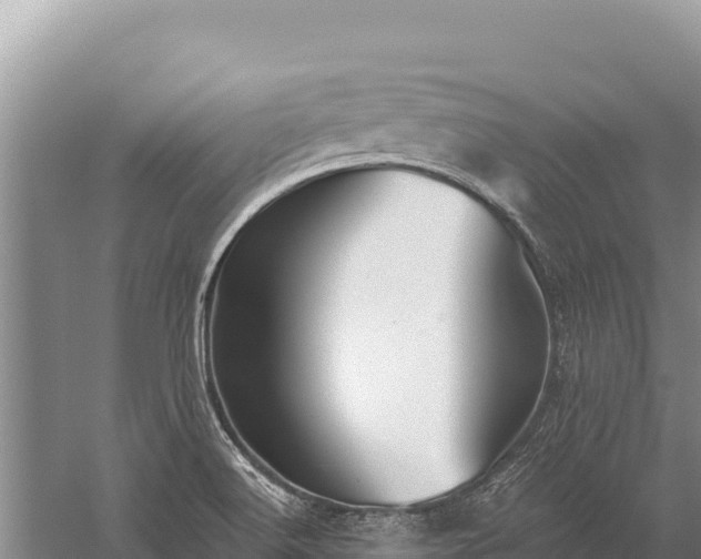 X0000059241516200510211549