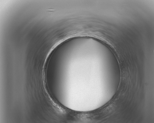 X0000059241517200510211549