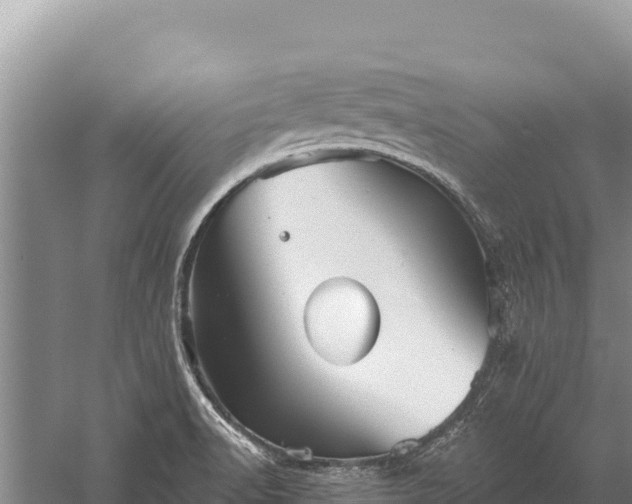 X0000059241518200510211549