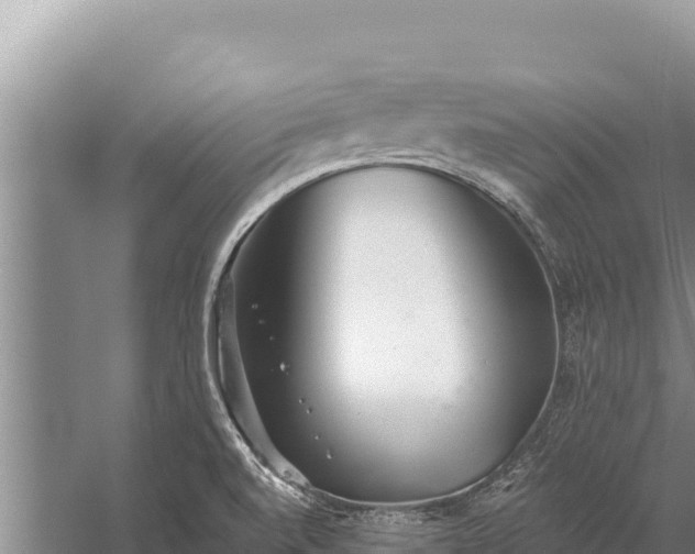 X0000059241520200510211549