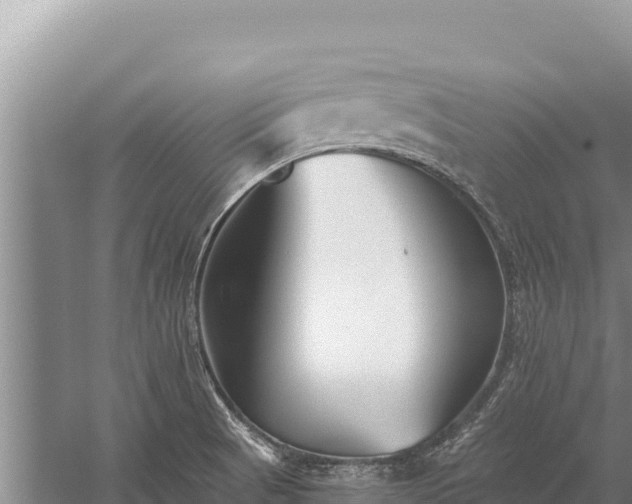 X0000059241521200510211549