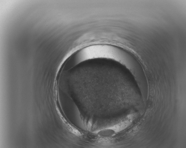 X0000059241522200510211549