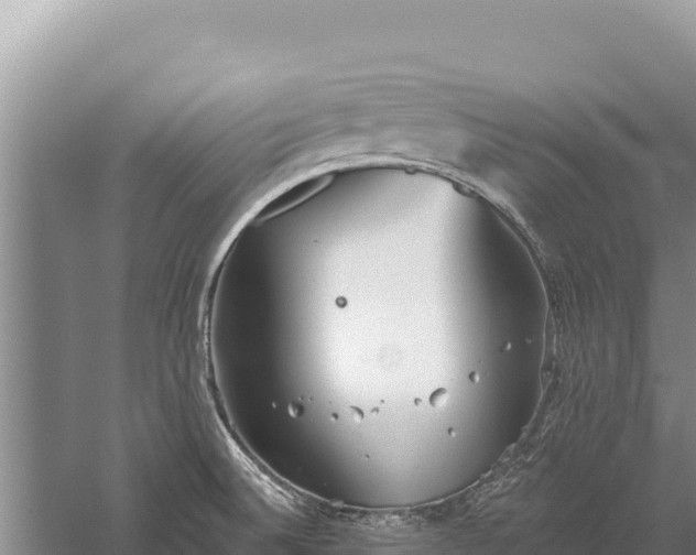 X0000059241524200510211549