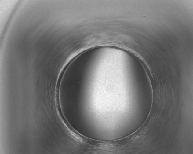 X0000059241525200510211549