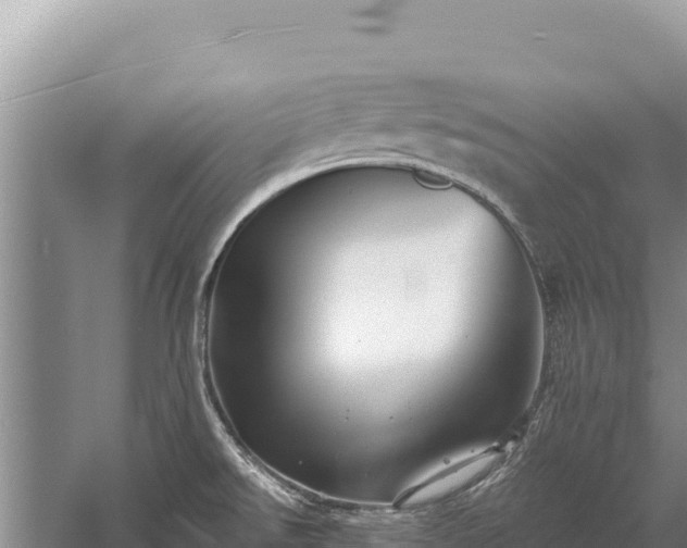 X0000059241526200510211549