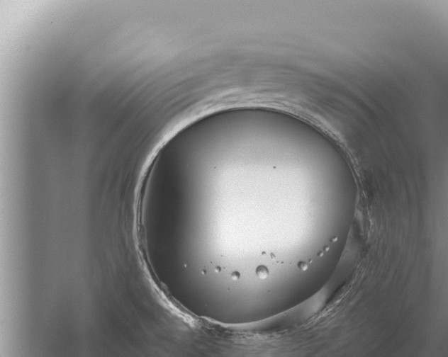 X0000059241528200510211549