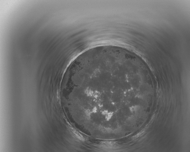 X0000059241529200510211549