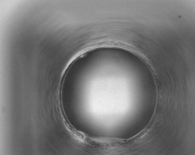 X0000059241530200510211549