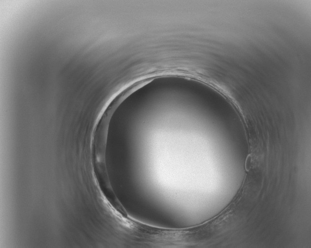 X0000059241532200510211549