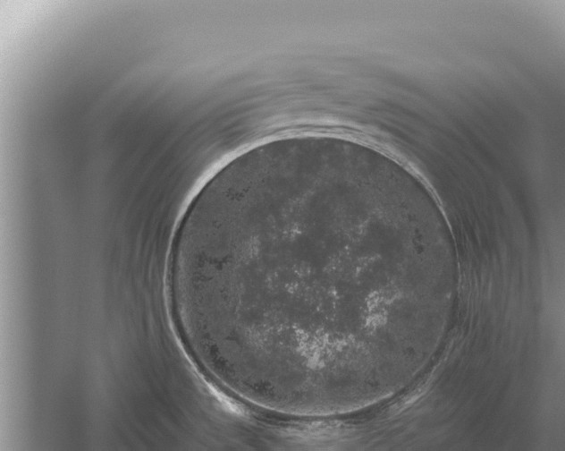 X0000059241533200510211549