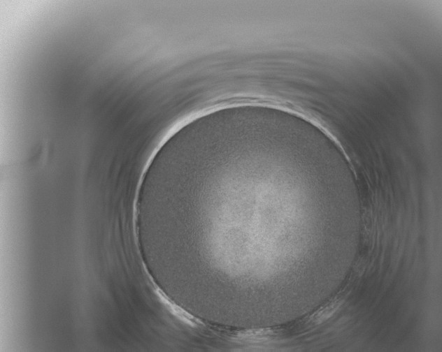 X0000059241535200510211549