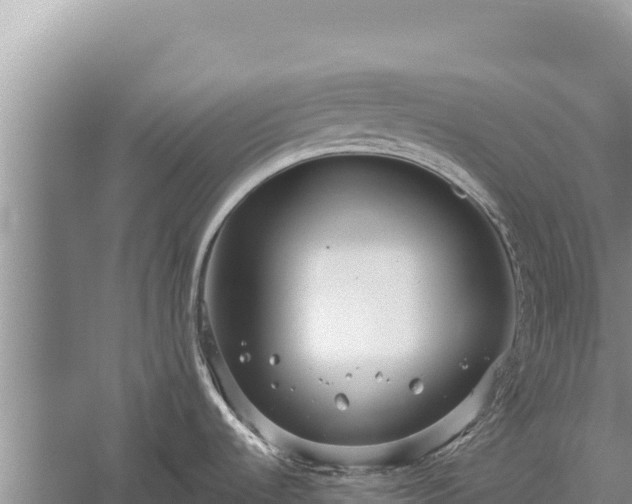 X0000059241536200510211549