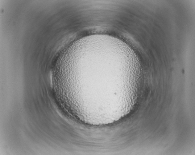 X0000059240022200510281942