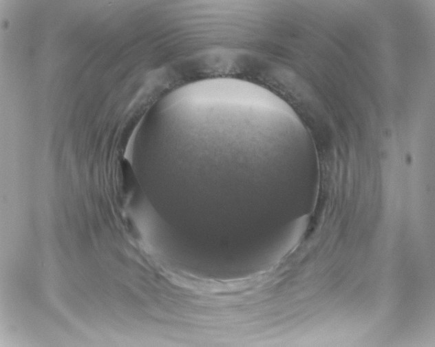 X0000059240035200510281942