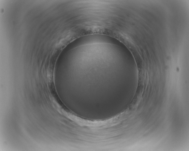 X0000059240039200510281942