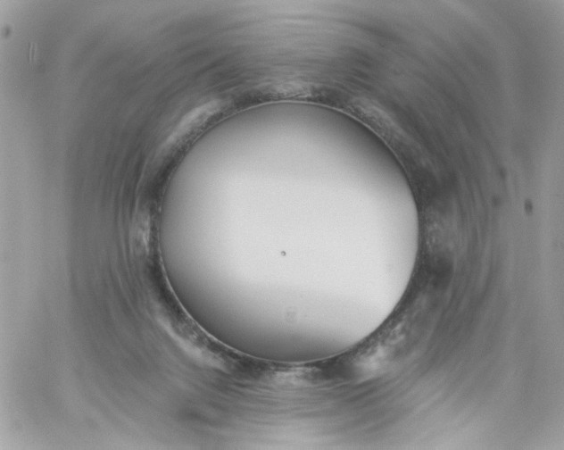 X0000059240072200510281941