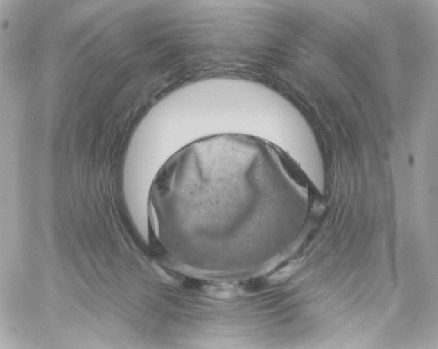 X0000059240079200510281941